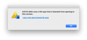 Error dialog from Word on Mac
