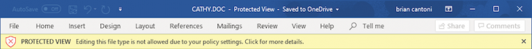 Warning dialog from Word on Mac