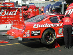 Bristol Spring 04 Nascar Race